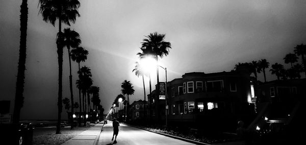 Street amidst silhouette trees and buildings at night