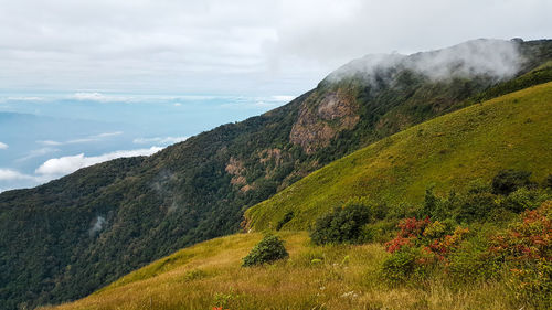 Scenic view of landscape against sky