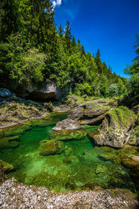 Scenic view of waterfall in forest against sky