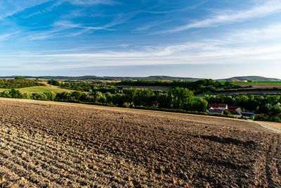 Scenic view of agricultural field against sky