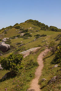 Scenic view of landscape against clear sky