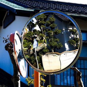 Reflection of trees and building in blue sky