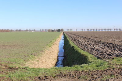 Scenic view of field against blue sky