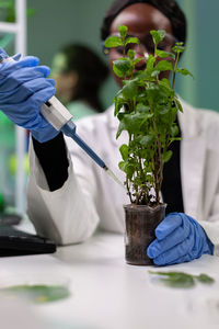 Scientist experimenting on plant at lab