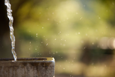 Close-up of water drops on white background