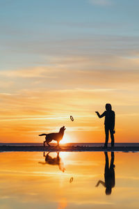 Silhouette of a man and a dog on the sea against the sunset. nature walk of a woman with a pet