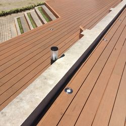 High angle view of cat on wooden roof