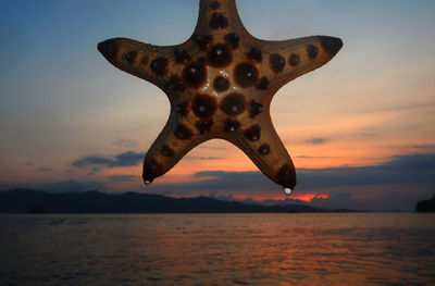 Close-up of starfish by sea against sky during sunset