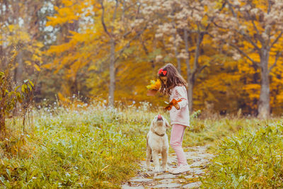 Full length of dog on landscape