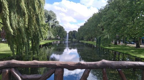 Scenic view of lake by trees against sky