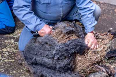 Midsection of man working at farm