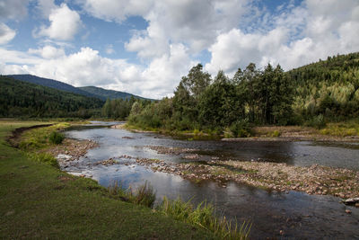 Scenic view of river amidst trees against sky