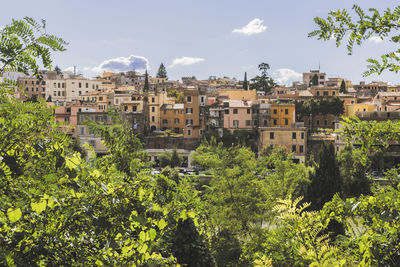 Trees and buildings against sky