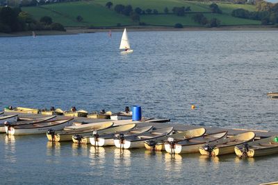 Sailboats moored on river against sky