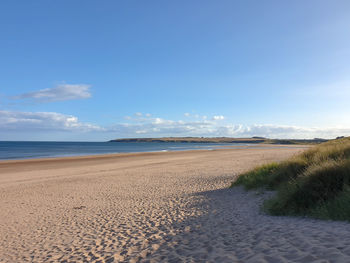 Scenic view of beach against blue sky