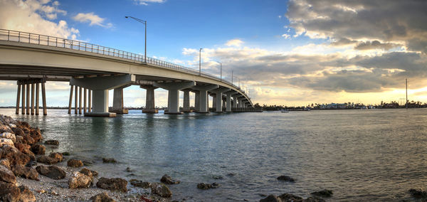 Great blue heron ardea herodias stands in the water as the sun sets over the bridge roadway