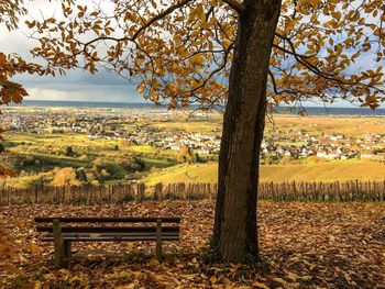 Scenic view of field against sky during autumn