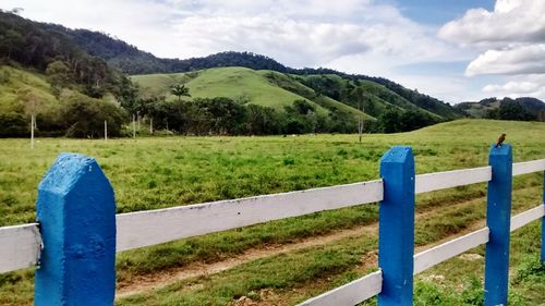 Scenic view of grassy field against cloudy sky