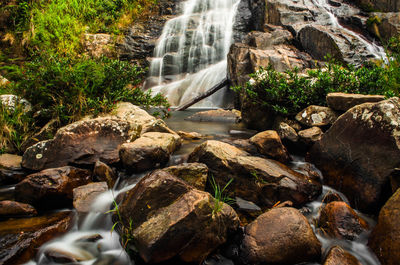 Scenic view of waterfall in forest