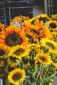 Close-up of sunflowers at shop