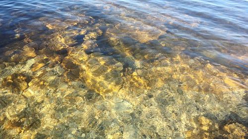High angle view of rippled water