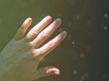 Close-up of hand on leaf against blurred background