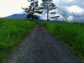 Road amidst field against sky