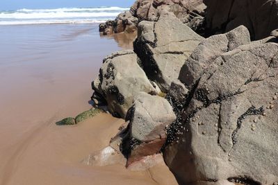 Close-up of rock on beach