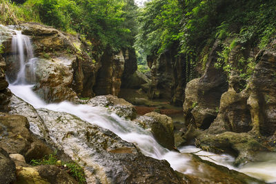 Scenic view of waterfall in forest