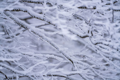 Full frame shot of snow covered field