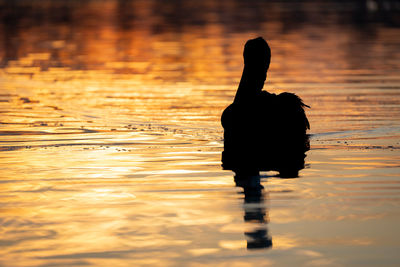 High angle view of silhouette people in lake