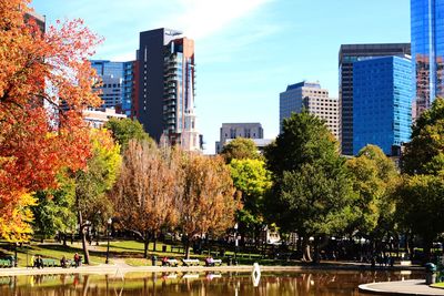 Trees in city against sky