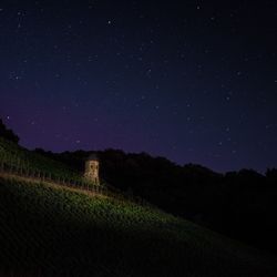 Vineyard against star field