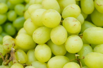 Close-up of fruits for sale at market stall