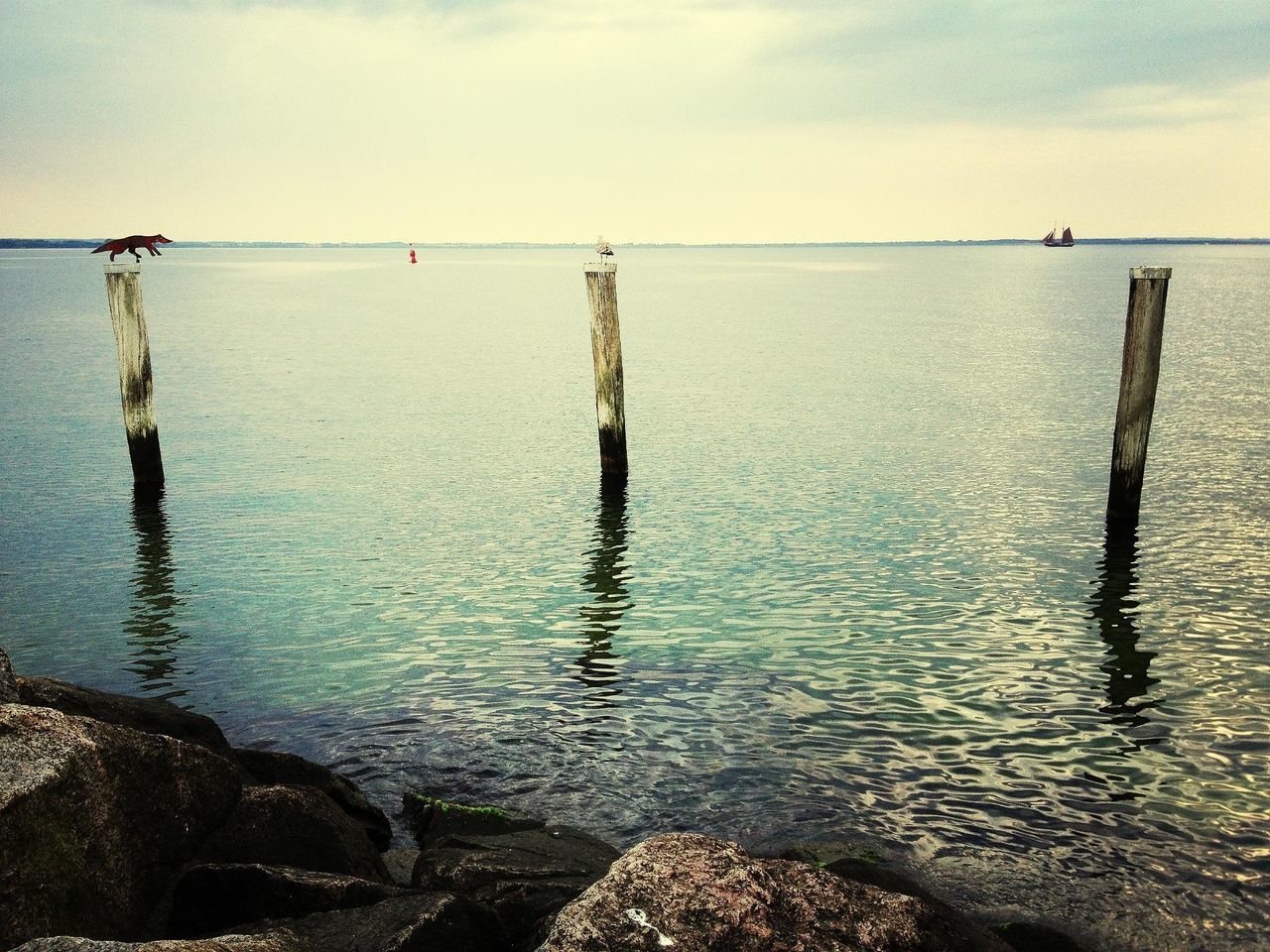 water, sea, horizon over water, tranquility, tranquil scene, sky, nature, beauty in nature, scenics, wooden post, rippled, reflection, idyllic, outdoors, wood - material, day, no people, rock - object, remote, calm