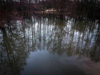 Reflection of trees in river against sky