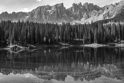 Panoramic view of lake in forest