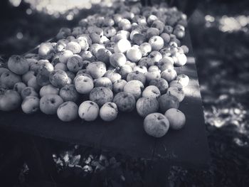 Close-up of stone