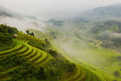 Scenic view of agricultural field against sky