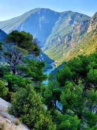 Scenic view of tree mountains against sky