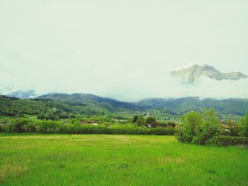 Scenic view of landscape against sky