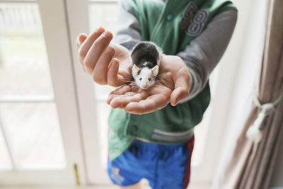 Young boy holding onto a pet mouse inside