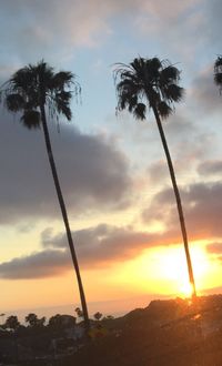 Silhouette palm trees against sky during sunset