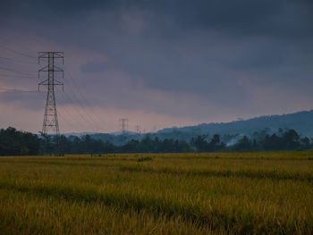 Yellow paddy field area with electricity tower at dawn fine art landscape