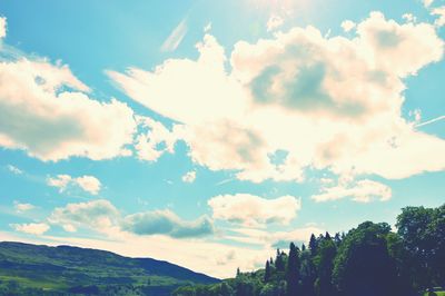 Low angle view of trees and buildings against sky