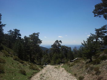 Dirt road passing through landscape