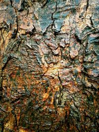 Full frame shot of tree