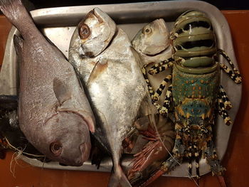 Close-up of fish in market