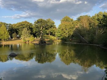 Scenic view of lake by trees against sky