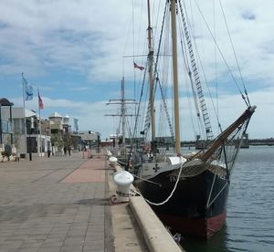 Sailboats moored at harbor against sky